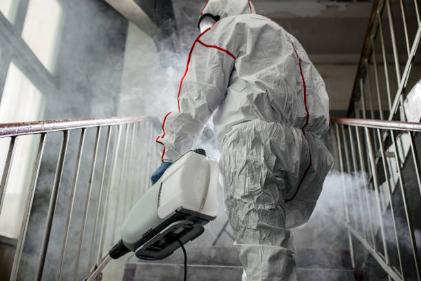 Mold Odor Removal Services in Combee Settlement, FL